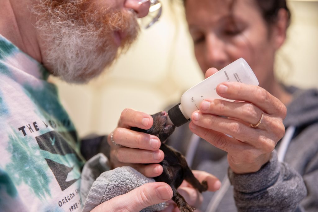 Geoffrey Holding Metro for Bottle Feeding by Dr. Jill Chase
